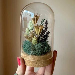 May include: A glass cloche with a cork base, housing a miniature botanical arrangement. The arrangement features dried flowers in shades of gold, green, and brown, set against a bed of green moss. The cloche is held by a person.