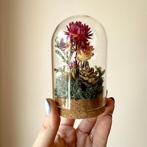 Large Glass Cloche Terrarium Floral Diorama Potion Jar Dried Flower Arrangement Decor With Real Mosses and Pink Dried Flowers