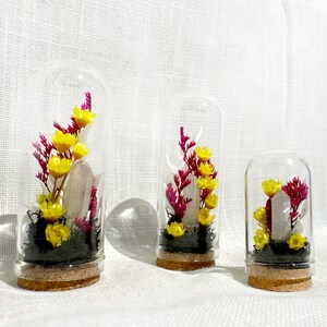 May include: Three glass cloches with cork bases, each containing a clear quartz crystal point, bright yellow flowers, magenta statice, and dark green moss. The three domes vary in height, creating a tiered arrangement of botanical displays.