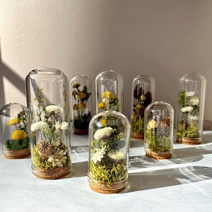 Mini Glass Cloche Terrarium Floral Diorama Potion Jar With Real Mosses and White Dried Flowers