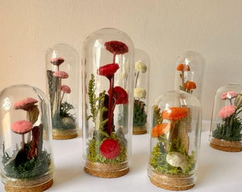 Peut inclure: Une collection de huit dômes en verre avec des bases en liège, chacun contenant une scène de forêt miniature avec des champignons en feutre colorés et de la mousse.