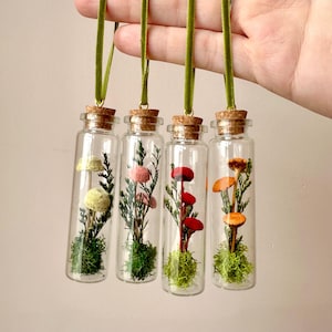 May include: Four clear glass vials with cork stoppers, each hanging from a green velvet ribbon. Inside each vial are preserved green moss, small sprigs of greenery, and miniature felt mushrooms in yellow, pink, red, and orange colors.