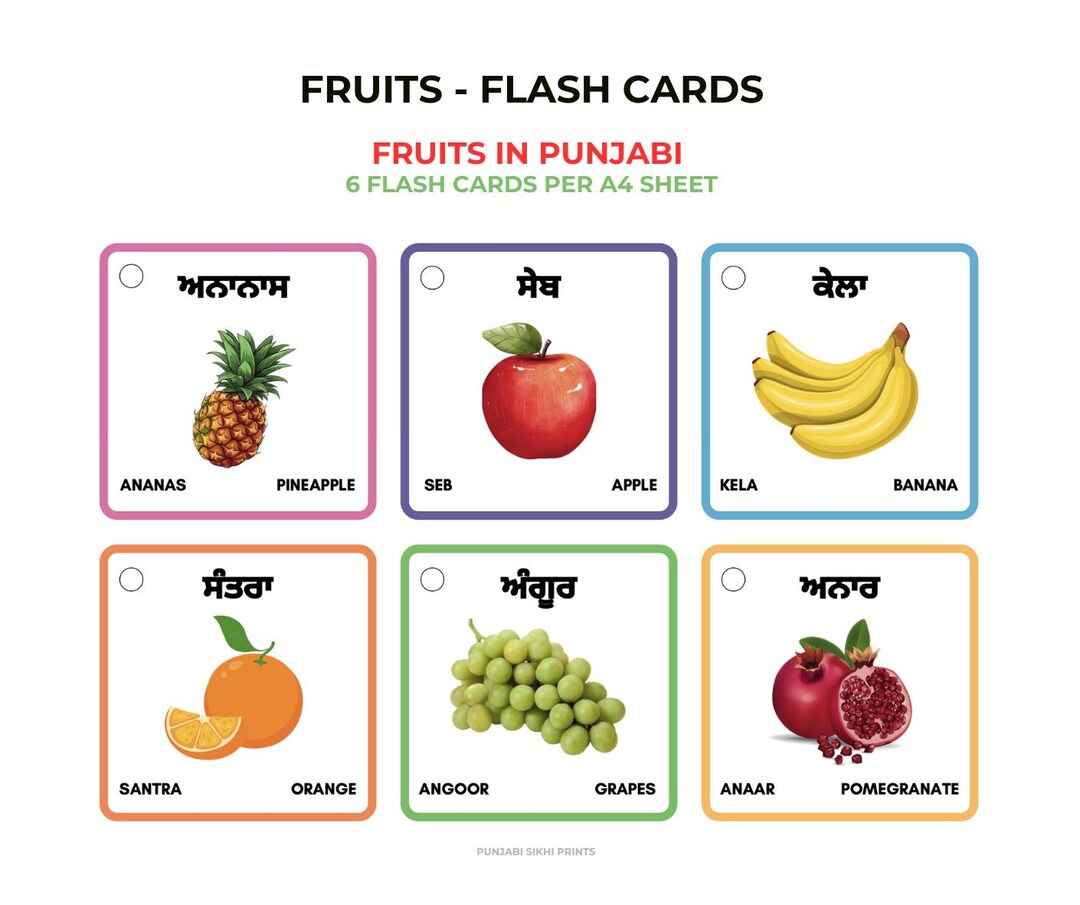 Fruits in Punjabi - 18 Flash Cards - Etsy