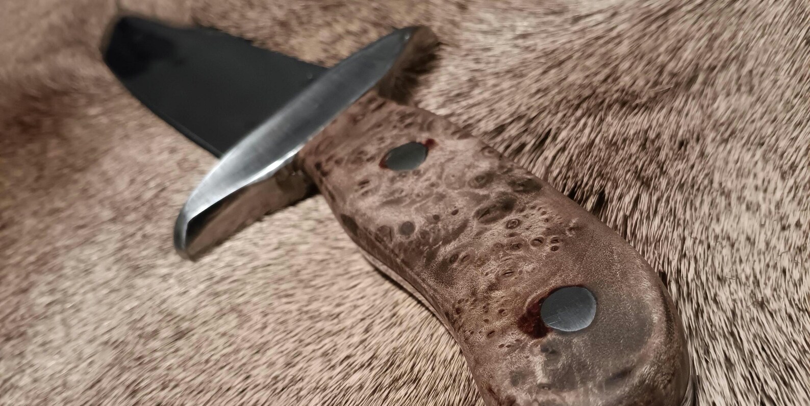 Forged Large Rasp Bowie Knife - Etsy