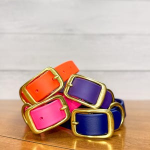 Biothane Dog Collar: Waterproof Adventure Collar with Brass Hardware