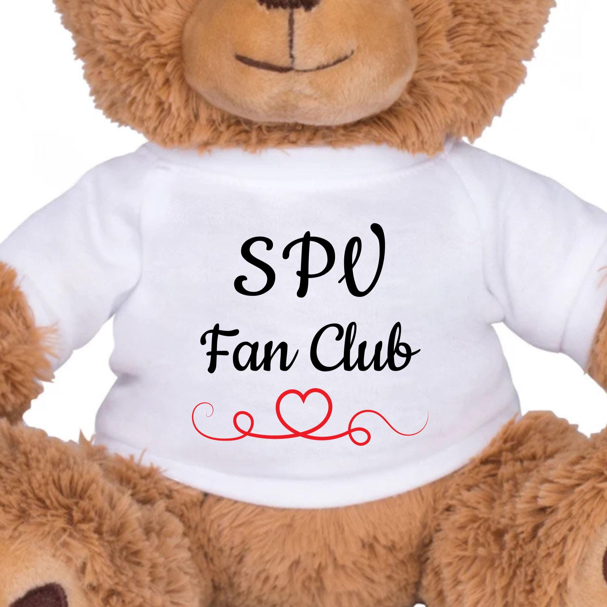 Custom Text Stuffed Bear T Shirt, Cute Personalized Birthday ...
