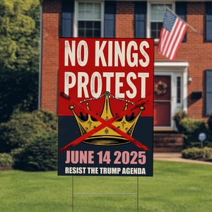 No Kings In America Protest Sign, Anti-Trump Resistance, Political Activist Poster, Rally Sign, Resist Fascism Protest Poster D2IE14