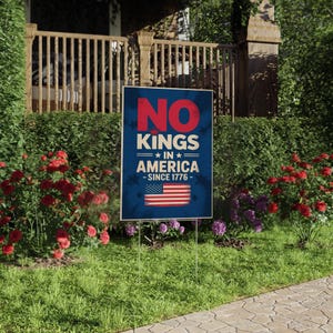 No Kings In America Protest Sign, Anti-Trump Resistance, Political Activist Sign, Rally Sign, Resist Fascism Protest Sign C1HG01