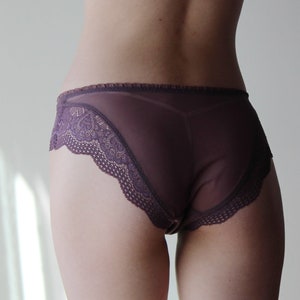 Mesh Panties with Lace Trim, Sheer Panties, Lace Underwear, Bikini Panties, Made in the USA,  Various Sizes, Lavender, Black