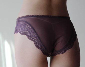 Mesh Panties with Lace Trim, Sheer Panties, Lace Underwear, Bikini Panties, Made in the USA, Ready to Ship, Various Sizes, Lavender, Black