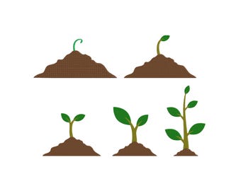 Diseño de bordado de plantas en crecimiento, diseños de bordado de jardinería, bordado de plántulas, diseños de bordado a máquina, 6 tamaños