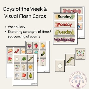 K&ouml;nnte beinhalten: Lehrreiche Lernkarten mit dem Text "Days of the Week & Visual Flash Cards". Die Karten zeigen Vokabeln und Bilder von Fr&uuml;chten, Lebensmitteln und Insekten. Die Karten dienen dazu, Zeitkonzepte und die Reihenfolge von Ereignissen zu erforschen.