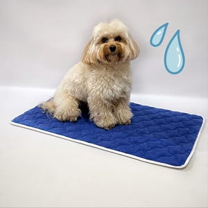 May include: A fluffy, light-colored dog sits on a blue cooling mat with a white border. The mat has a quilted pattern. Two cartoon water droplets are in the background, suggesting the mat's cooling function.