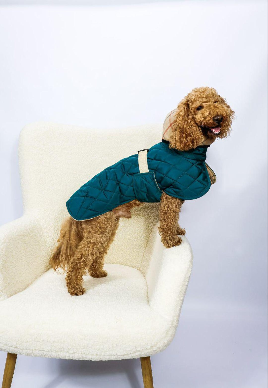 Giacca Invernale Per Cani Con Cerniera – Antivento E Impermeabile, Con Strisce Riflettenti E Foro Per Imbracatura, Taglie XS-2XL, Per Piccole E Medie Razze