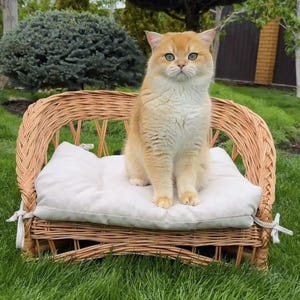 Handwoven Wicker Pet Bed for Small Dogs and Cats – Cozy Cushion, Eco-Friendly, Stylish & Lightweight