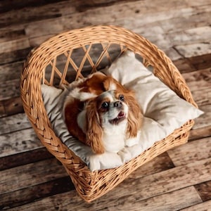 Handmade Wicker Pet Bed for Small Dogs & Cats – Natural Basket with Soft Cushion – Washable Cover – Eco-Friendly Lightweight Pet Furniture