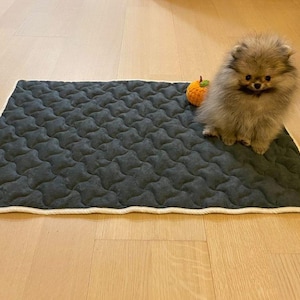 May include: A small, fluffy Pomeranian dog sits on a dark gray quilted pet mat with a white border. An orange crocheted pumpkin is next to the dog. The mat is on a light wood floor.