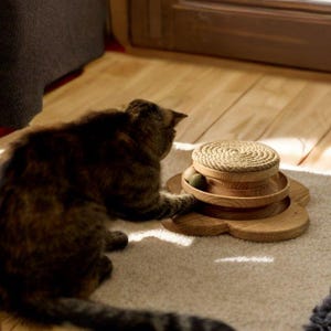 Interactive Cat Toy – Natural Wood Scratcher & Play Station  | Handmade  | Eco-Friendly  | Modern Cat Furniture