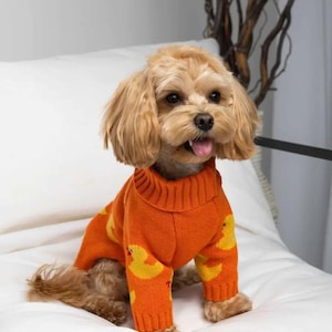 Warm Dog Sweater with Duck Print – Knitted Pet Clothes for Small, Medium & Large Dogs | Cozy winter clothes for dogs