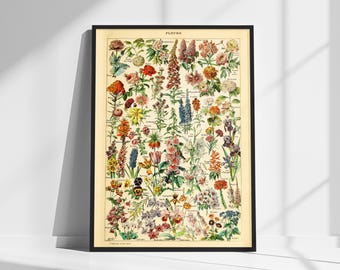 Vintage Botanical Poster - &#39;Fleurs&#39; by Adolphe Millot | Retro Floral Illustration for Classic Nature and Garden Decor | Wall decor