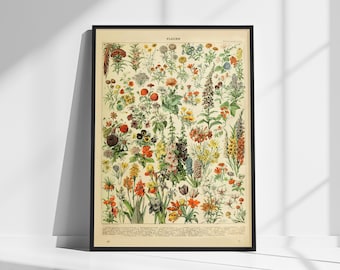 Vintage Botanical Poster - &#39;Fleurs&#39; by Adolphe Millot | Retro Floral Illustration for Classic Nature and Garden Decor | Wall decor gift