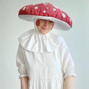 May include: A person wearing a mushroom costume. The costume includes a red and white mushroom cap, a white ruffled collar, and a white dress. The mushroom cap has a red top with white spots. The person is smiling.