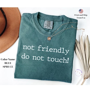 Not Friendly Do Not Touch Comfort Colors® Shirt, Sarcastic  Shirt, Funny Humor Shirt, Adult Humor Shirt, Sarcasm Shirt, Funny Trendy Shirt
