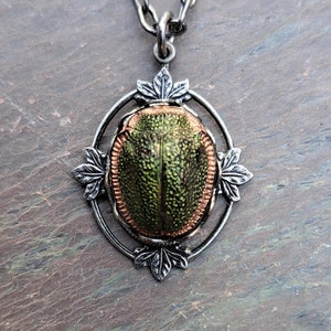 Collar de escarabajo vintage Rara piedra del renacimiento egipcio de la década de 1920 en un entorno de filigrana de plata antigua