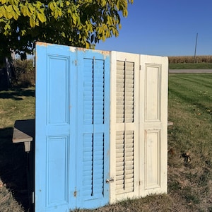 May include: Two antique wooden shutters, one painted light blue and the other off-white, stand upright outdoors. The blue shutter has a solid panel and the off-white shutter has slats. The shutters are weathered, suggesting age and use.