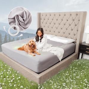 May include: A gray fitted sheet with a dog and a person sitting on it. The sheet is on a bed with a tufted headboard. The sheet is made of a soft, breathable fabric.