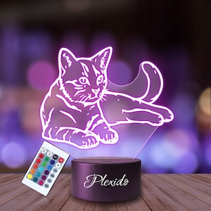Nachtlampje 3D Kat Slaapcadeau