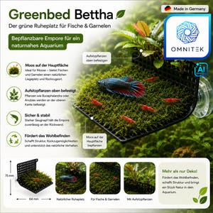Könnte beinhalten: Ein schwarzes Kunststoff-Aquarienregal namens Greenbed Bettha mit Saugnapf, das 75 mm mal 64 mm misst. Das Regal ist mit grünem Moos bedeckt und zeigt einen blau-roten Kampffisch sowie mehrere kleine rote Garnelen auf der Oberfläche.