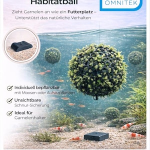 Schwebender Habitatball für Garnelen – Aquarium Futterplatz & Versteck