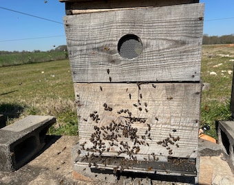 May include: A wooden beehive with a small opening for bees to enter and exit. The hive is surrounded by bees, some of which are flying in the air.