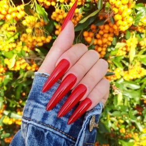 Könnte beinhalten: Eine Hand mit langen, roten, spitzen Nägeln vor einem Hintergrund aus gelben Beeren und grünen Blättern.