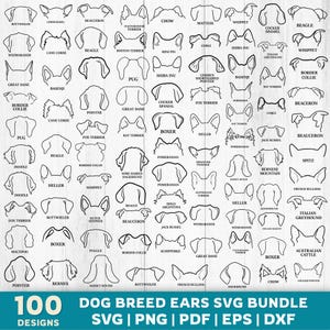 90 hondenras oren overzicht SVG bundel, hondenoren clipart bundel, hondenoren overzicht SVG zeer fijne tekeningen DXF honden, huisdier liefde, huisdier verlies SVG, hond Cliparts