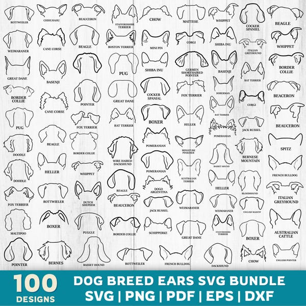 Dog Breed Ears Outline SVG Bundle: 90 Designs (Digital Download)