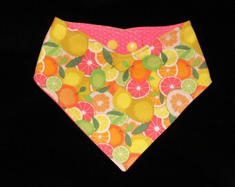 Reversible Citrus Dog Cat Bandana Pet Scarf with Adjustable Snaps