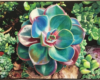 Succulents VI Original Fiber Art by Lenore Crawford