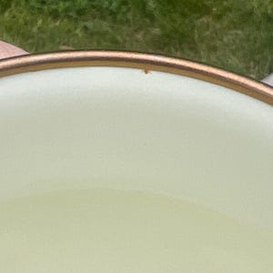 May include: A close-up view of the interior of a light cream-colored bowl or cup featuring a smooth, matte finish and a distinct metallic bronze-toned rim. The surface is plain and uniform, highlighting the contrast between the pale interior and the dark, reflective edge of the vessel.