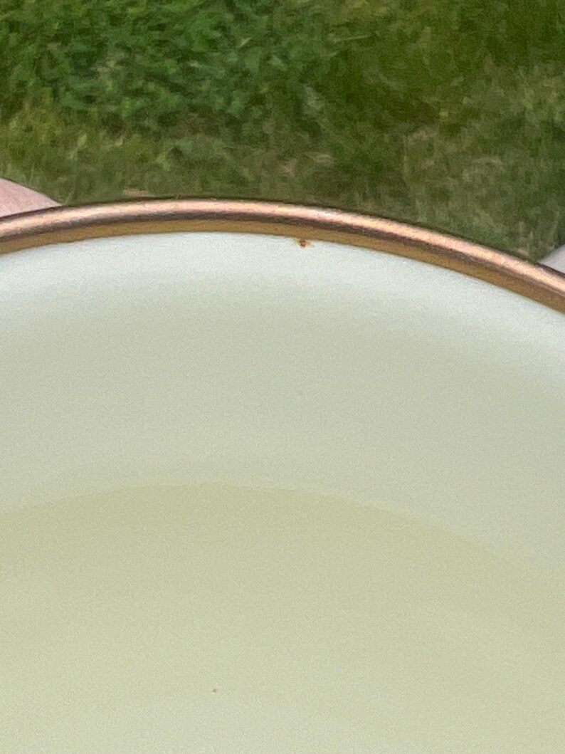 May include: A close-up view of the interior of a light cream-colored bowl or cup featuring a smooth, matte finish and a distinct metallic bronze-toned rim. The surface is plain and uniform, highlighting the contrast between the pale interior and the dark, reflective edge of the vessel.