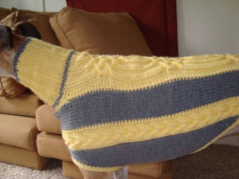 dog sweater/ greyhound sweater knitting pattern PDF file ONLY image 8