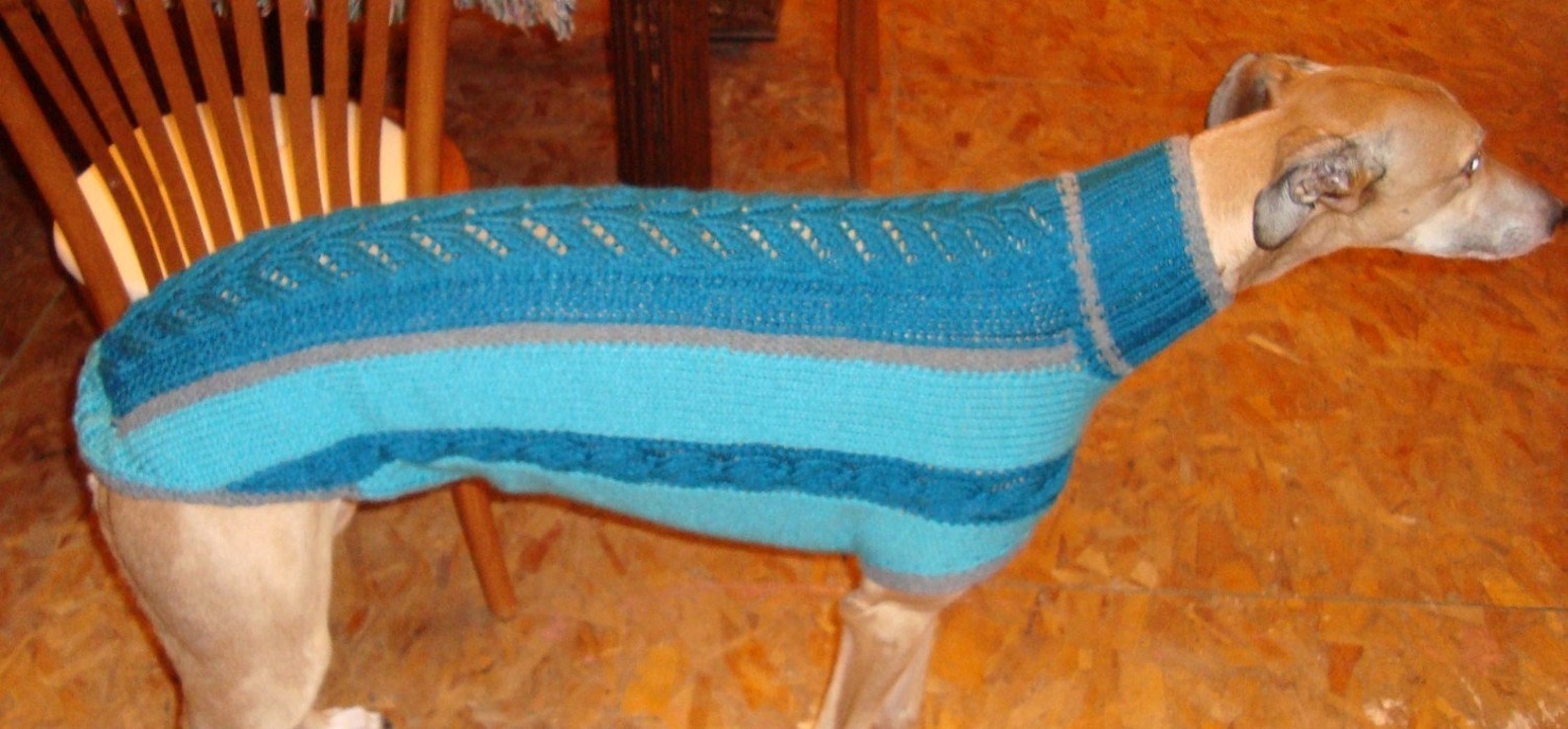 Dog Sweater/ Greyhound Sweater Knitting Pattern PDF File ONLY Etsy