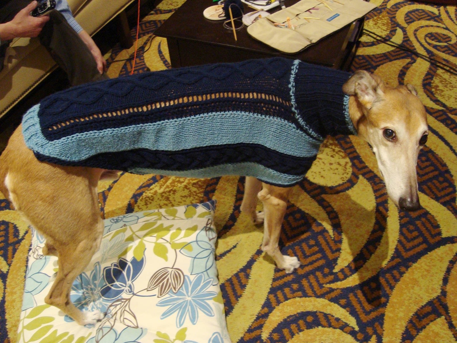 Dog sweater/ greyhound sweater knitting pattern PDF file ONLY Etsy