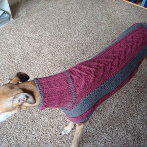 dog sweater/ greyhound sweater knitting pattern PDF file ONLY image 4