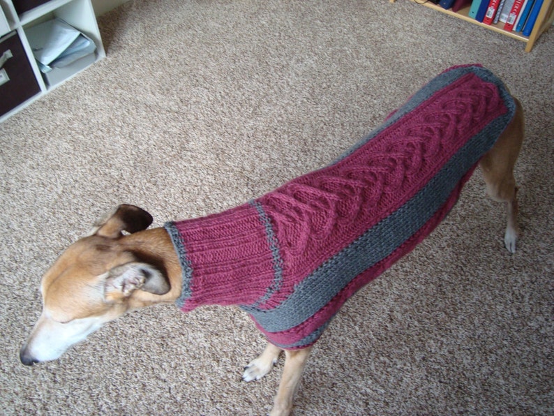dog sweater/ greyhound sweater knitting pattern PDF file ONLY image 4