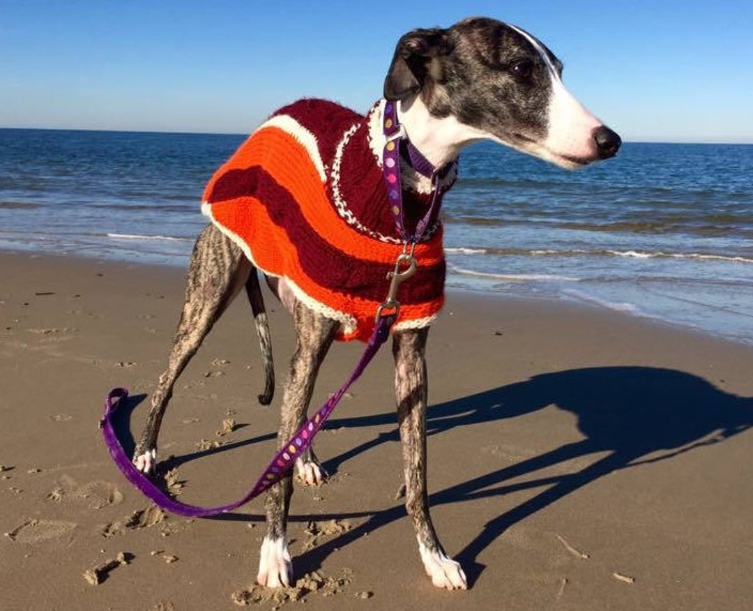 Whippet Sweater Pattern PDF File ONLY - Etsy