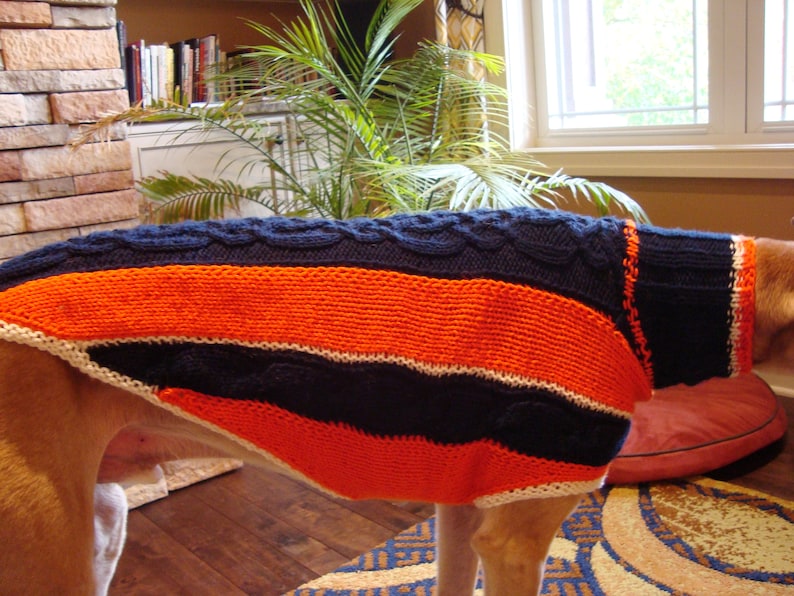 dog sweater/ greyhound sweater knitting pattern PDF file ONLY image 5