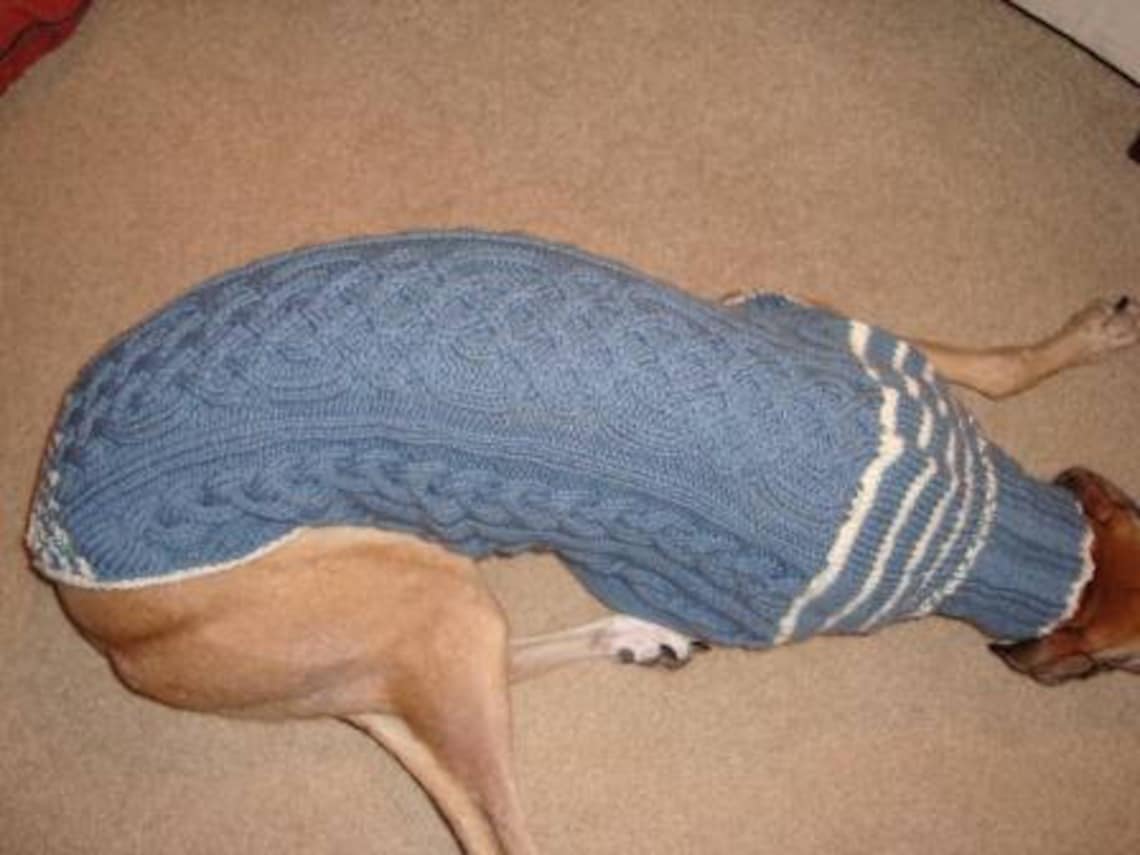 Dog/ greyhound sweater knitting pattern PDF file ONLY Etsy