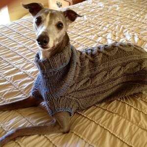 whippet coat knitting pattern